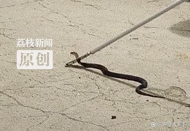 热点生活 第47页