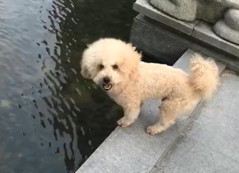 港澳新闻 第37页