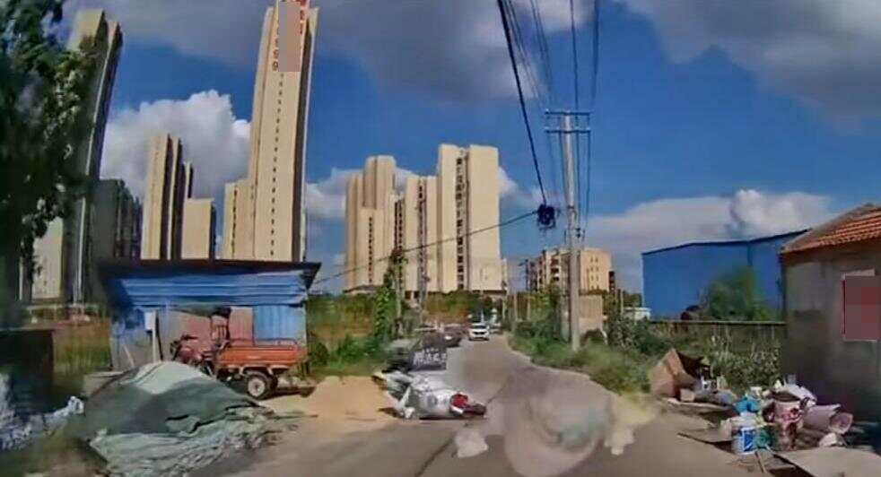 娱乐生活 第39页